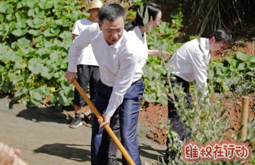 橄榄树下话脱贫 谢永林:做可持续、实打实的真扶贫