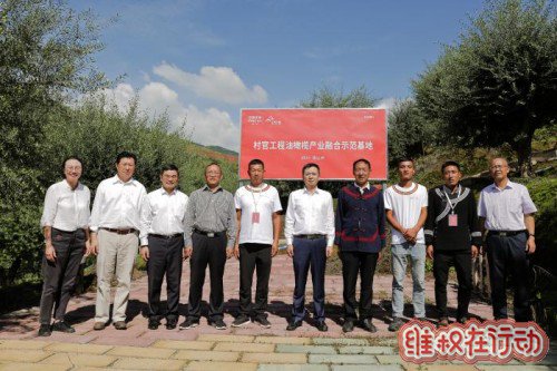 橄榄树下话脱贫 谢永林:做可持续、实打实的真扶贫