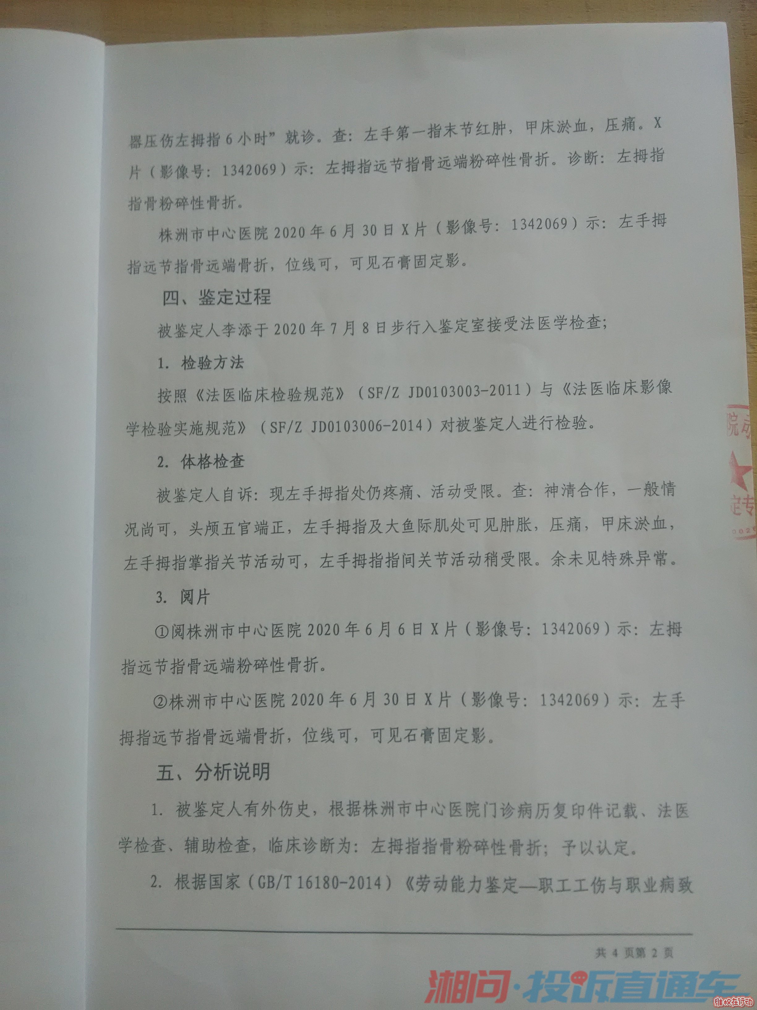 鉴定过程及分析说明
