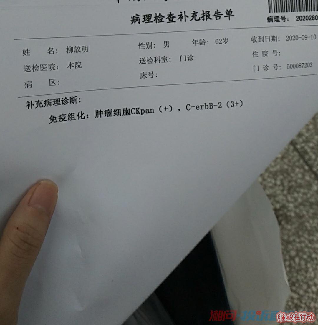 今年病理报告