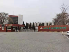 百年青啤光辉下的阴暗 是人性丑恶还是监督不到位？