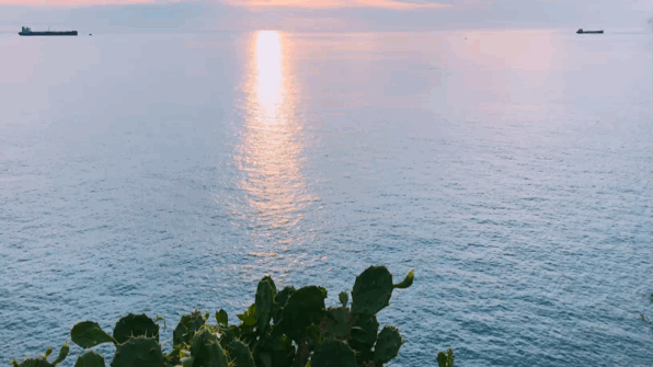 01.gif