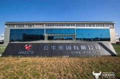 揭秘公牛副总裁刘圣松：至少跳槽四次职务越来越高