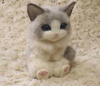 宠物猫品种