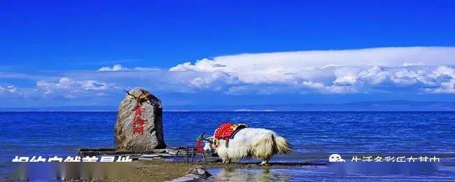 中国最大咸水湖(中国最大咸水湖在哪) 中国最大咸水湖(中国最大咸水湖在哪)