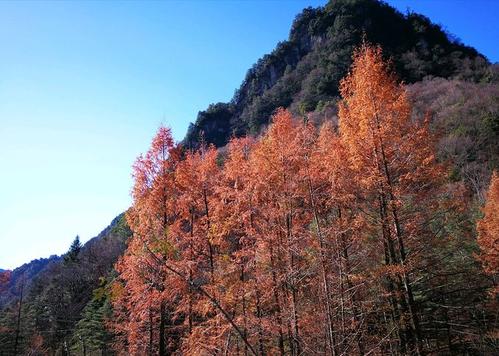 神农架景点(神农架景点门票) 神农架景点(神农架景点门票)