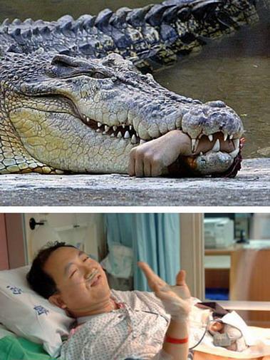 世界上最大的鳄鱼