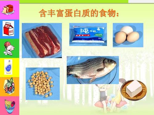 高蛋白食物