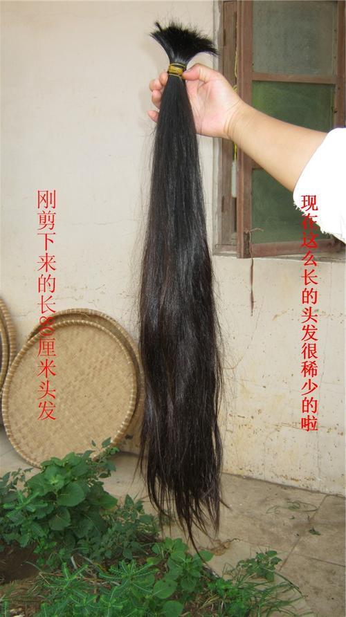 吃什么长头发(吃什么长头发不掉发) 吃什么长头发(吃什么长头发不掉发)