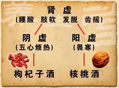 肾阳虚吃什么食物(肾阳虚吃什么菜最好最有效) 肾阳虚吃什么食物(肾阳虚吃什么菜最好最有效)