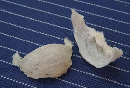 哪种燕窝好