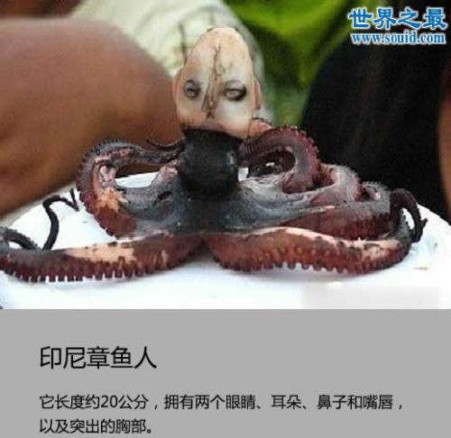 十大恐怖网站(国外十大恐怖网站) 十大恐怖网站(国外十大恐怖网站)
