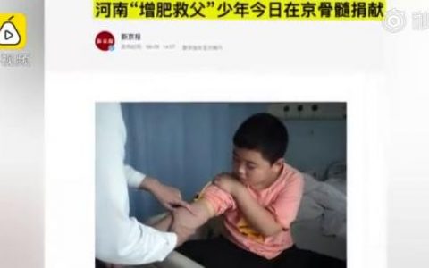 10岁少年增肥救父