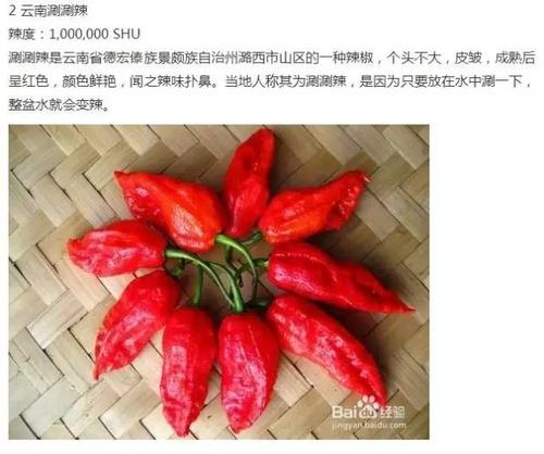 世界上最辣的辣椒