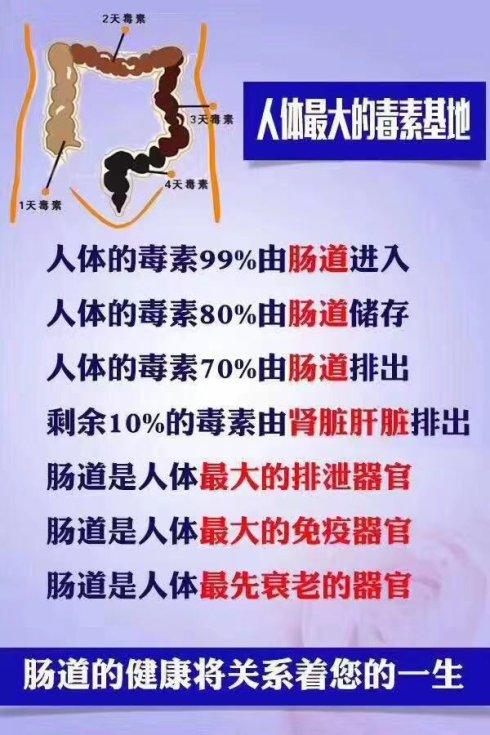 人体最大的器官是什么(人体最大的器官是什么器官)