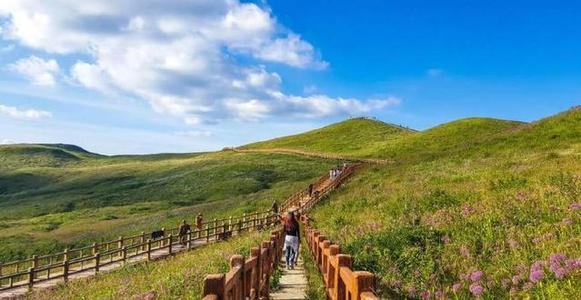 毕节景点(毕节地区十大景点) 毕节景点(毕节地区十大景点)