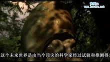 大王陆鱿