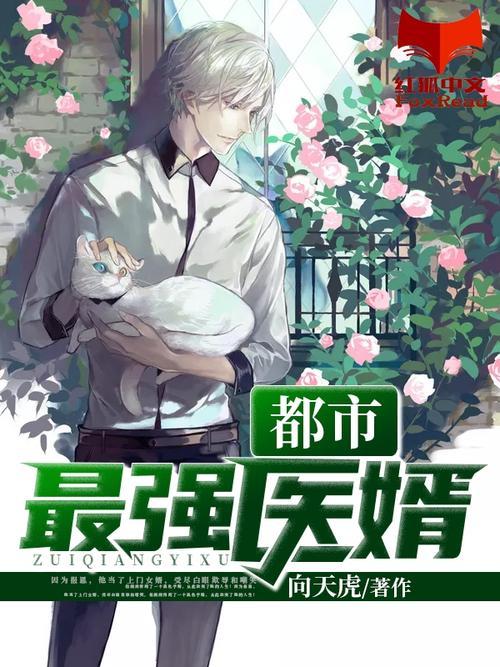 完本都市小说排行榜