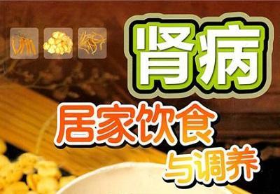 肾病食品