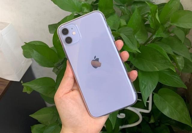从5499跌至3699，iPhone大屏+iOS14，苹果旗舰机低价来袭