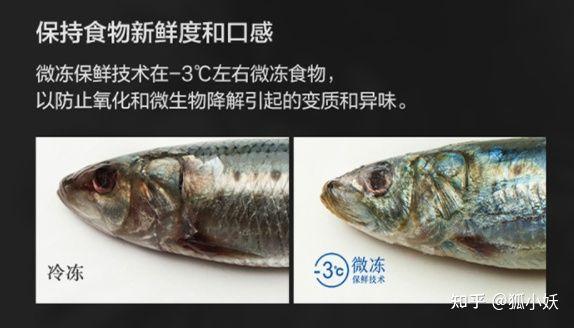 2021高端冰箱攻略卡萨帝、日立、东芝、西门子等品牌冰箱选购推荐