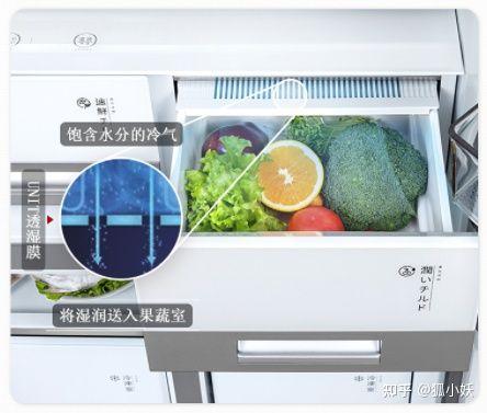 2021高端冰箱攻略卡萨帝、日立、东芝、西门子等品牌冰箱选购推荐