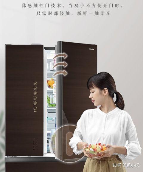 2021高端冰箱攻略卡萨帝、日立、东芝、西门子等品牌冰箱选购推荐