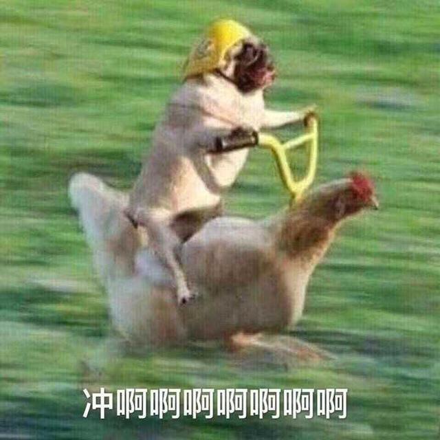 3款超高性价比洗发水，因太小众被孕妈嫌弃，效果不输大牌