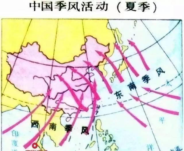 河南暴雨提前5天预警,为何仍有352人遇难失踪?