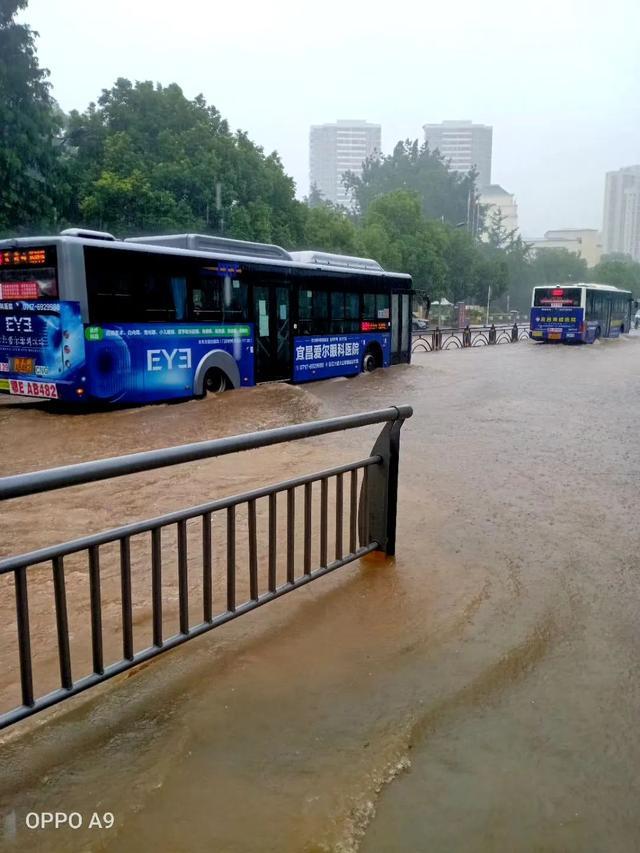 湖北一地暴雨袭城！女司机被困车内，交警砸窗救人