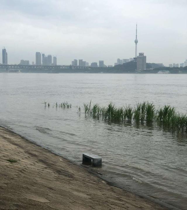 湖北一地暴雨袭城！女司机被困车内，交警砸窗救人