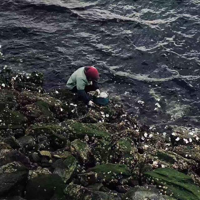 兴衰獐子岛