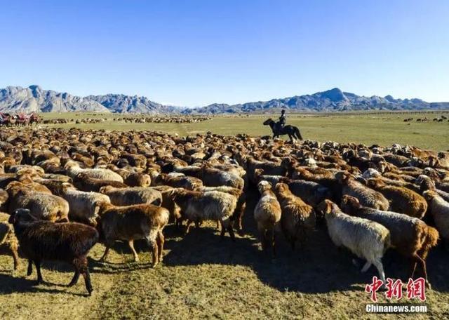 宗教极端主义缘何在中国新疆成为无根之草?