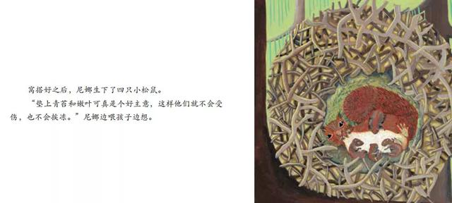 有声绘本：《松鼠》小小自然图书馆