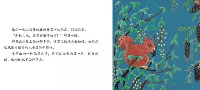 有声绘本：《松鼠》小小自然图书馆