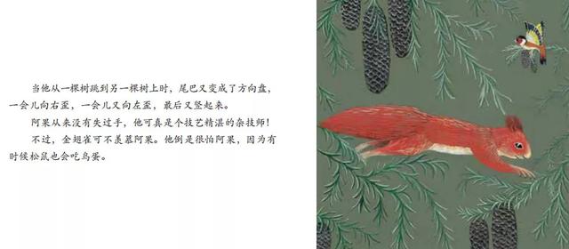 有声绘本：《松鼠》小小自然图书馆