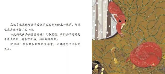 有声绘本：《松鼠》小小自然图书馆