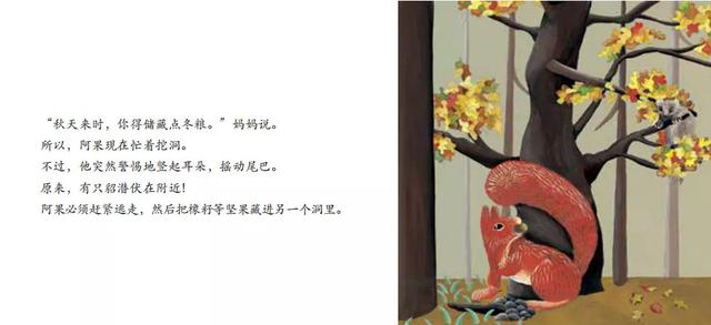 有声绘本：《松鼠》小小自然图书馆