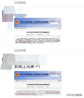官方为何称码农为农民工(码农和农民工有什么关系) 官方为何称码农为农民工(码农和农民工有什么关系)