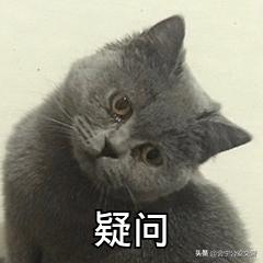 事故车查询系统(全国车辆事故查询系统) 事故车查询系统(全国车辆事故查询系统)