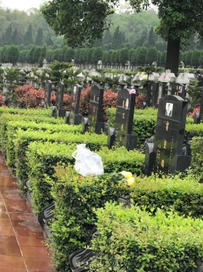 民政部门倡导:中元节祭祀 采取这些文明环保的方式