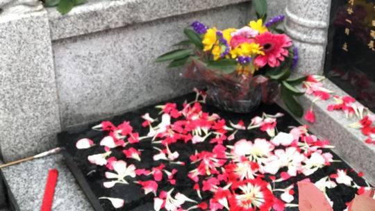 民政部门倡导:中元节祭祀 采取这些文明环保的方式