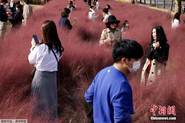联合国人口基金会:韩国总和生育率连续两年全球垫底