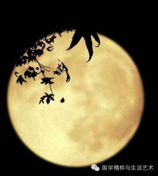 中元节知识大盘点:来历、习俗、禁忌