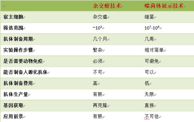 阳性噬菌体显示(噬菌体抗体阳性是什么意思) 阳性噬菌体显示(噬菌体抗体阳性是什么意思)