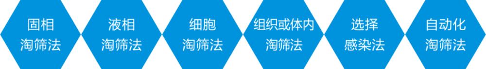噬菌体展示原理及技术解析