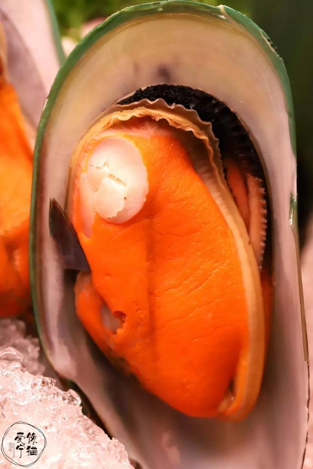 这样的呷哺全国只有3家!先天下占一个