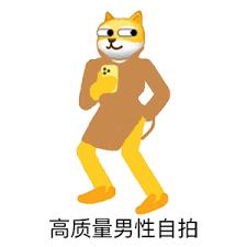 神表情：人类高质量表情包，都在这里啦