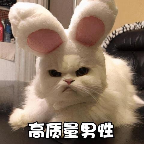 神表情：人类高质量表情包，都在这里啦