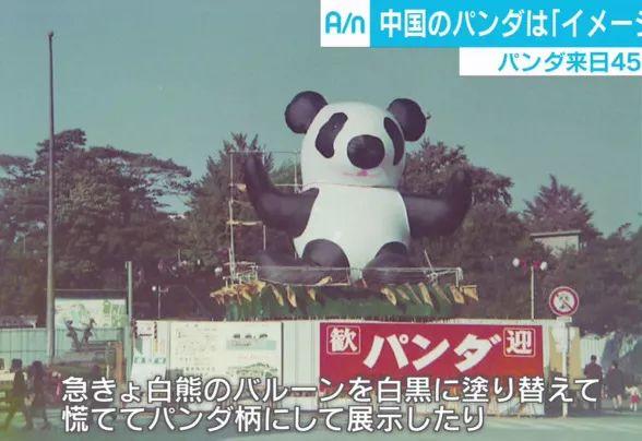 在日本,熊猫是一种信仰